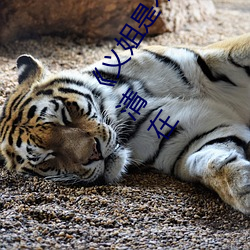 《义姐是不良妈(媽)妈(媽)授乳中 OVA義(義)姉はヤンママ授乳中(中)》高(高)清在