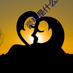 豪爽是(shì)什么意思