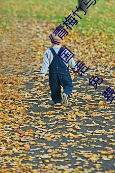 《青梅竹馬是消防員第一未增刪櫻花帶翻譯》BD國語免費在線