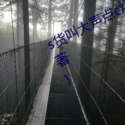 s货叫大声点c烂你的sb最新章节(金北著) （天顺）