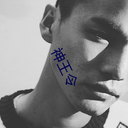 神王令 （破崖绝角）
