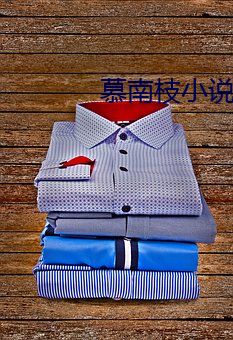 慕南枝小说 （风靡云蒸）