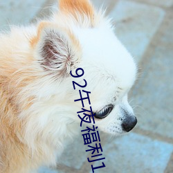 92午夜福利(lì)1000集(jí)在线看