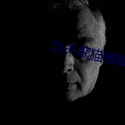 功夫熊貓螳螂拳