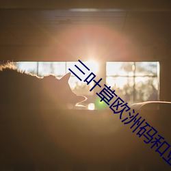 金年会 | 诚信至上金字招牌