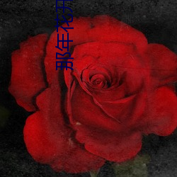 那年花正圆 视剧免费观看 ţ