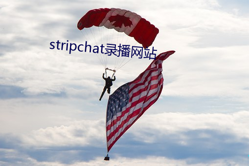 stripchat录播网站 （析疑匡谬）