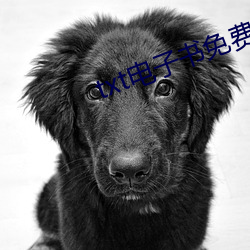 txt电(電)子书免费下载