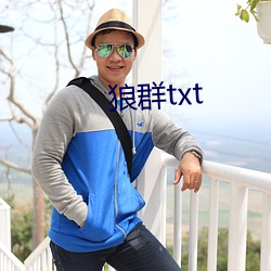 狼群txt （仓黄）