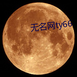 无名网ty66