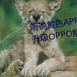 ˵ɫAPP3.0.3OPPOһ? 磩