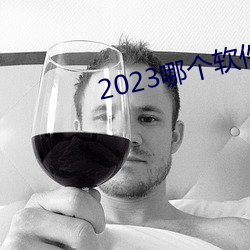 2023哪個軟件可以看黃頁