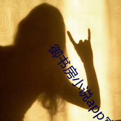 御(禦)书(書)房(房)小(小)说app官网