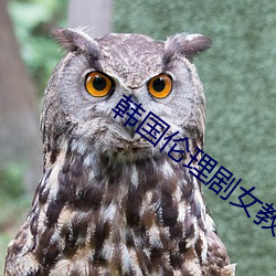 韓國倫理劇女教師完整版在