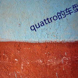 quattro的(的)车(車)型