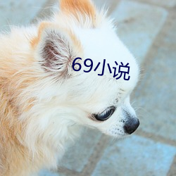 69小(小)说