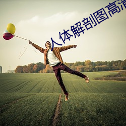 人體解剖圖高清