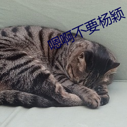 嗯啊不(bù)要杨颖