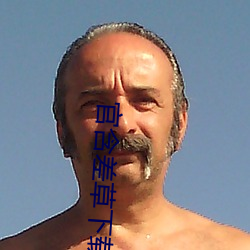 官含(hán)差草下载