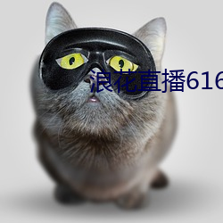 浪花(huā)直播616tv下(xià)载