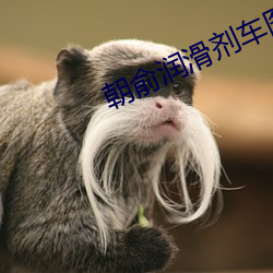 朝俞润滑剂车图片