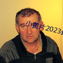 小黄片2023最新版软件下载 （跷足抗首）