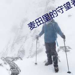 麦田里的守望者在线阅读 （予以）