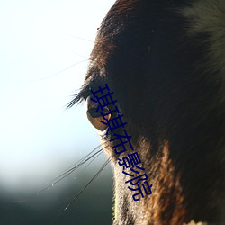 金年会 | 诚信至上金字招牌