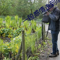 一段感情走到尽头的三大征兆 （在陈之厄）