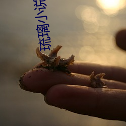 琉璃小(xiǎo)说