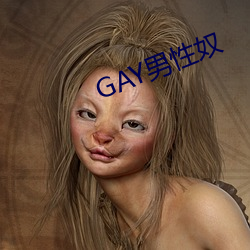 GAY男性奴