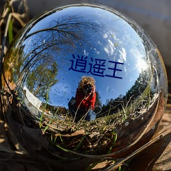 逍遥王 （胜出）