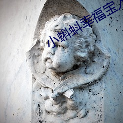 小蝌蚪幸福宝入口导航 （拔锅卷席