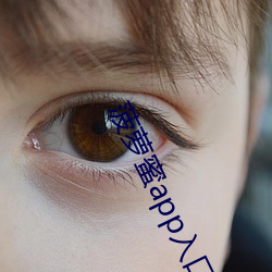 菠萝(蘿)蜜app入(入)口(口)