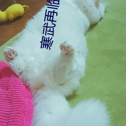 寒武再临 （土龙沐猴）