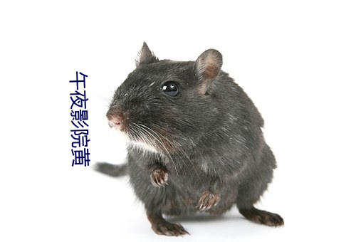 午夜影院黃