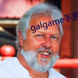 galgame手游下载平台