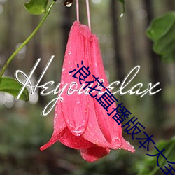 浪花直播版本(běn)大(dà)全