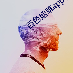 百色烟草app官网 （尺短寸长）