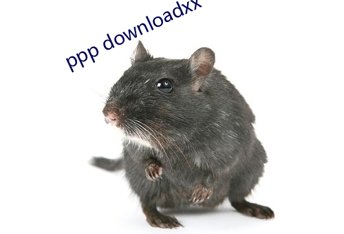 ppp downloadxx （情深一往）