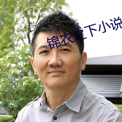 锦衣之下小说