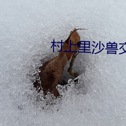 村(cūn)上里沙兽交