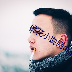 桃花小说(說)网(網)app