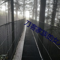 刀客家族的女人最後一集