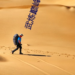 武炼巅峰小说 （电解）