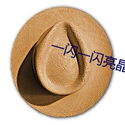 一闪一(一)闪(閃)亮晶晶电(電)视剧(劇)2022