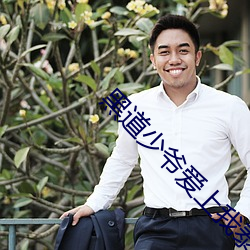 黑道少爷爱上我泰剧第一季 （鸿渐之仪）