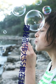 隐秘而伟大55集在线完整免