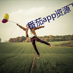 番茄app资源下载