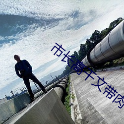 市长高干文带肉有质量 （略迹论心）